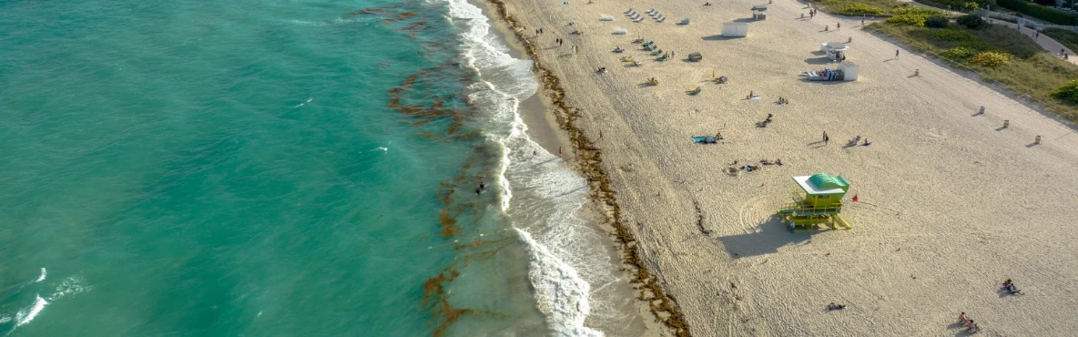 Water Sports in Miami: Jet Skiing, Paddleboarding, and Beyond