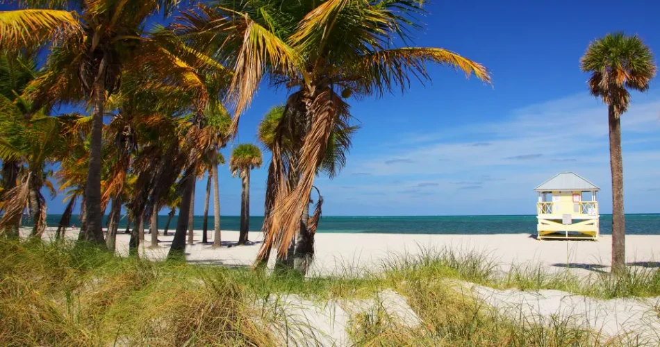 Best Beaches in Miami, United States of America