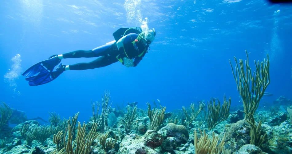Water Sports in Miami: Jet Skiing, Paddleboarding, and Beyond