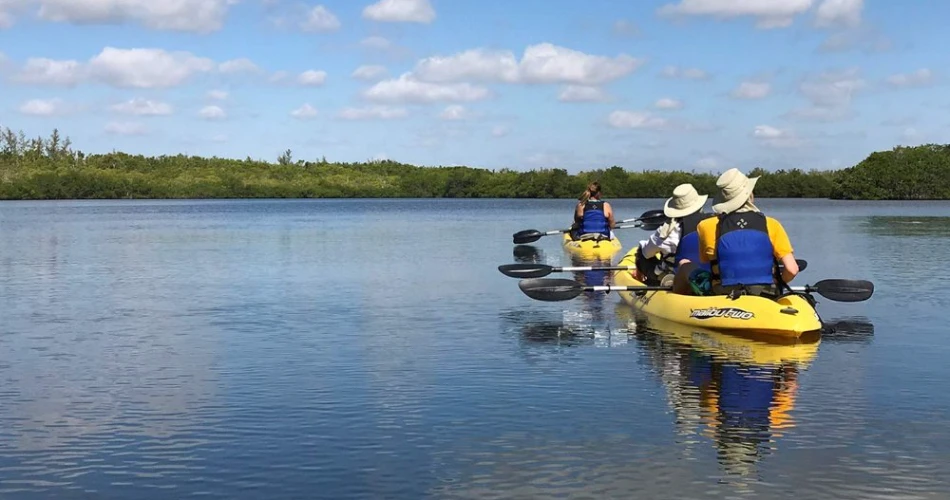 Water Sports in Miami: Jet Skiing, Paddleboarding, and Beyond